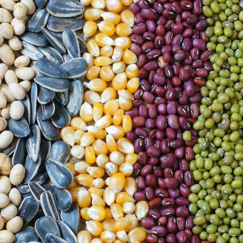 Automatický stroj na balenie semien